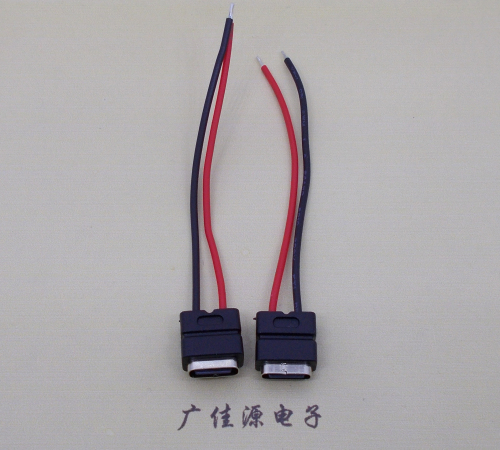 番禺type c2p防水母座焊线式带线注塑成型带接线端子/不带接线端子充电连接器